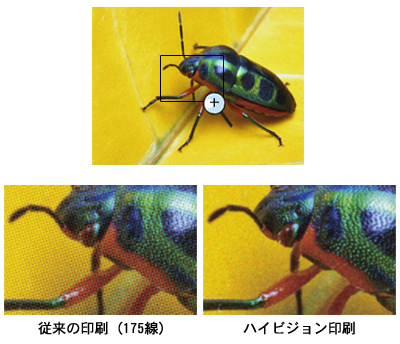 ハイビジョン印刷